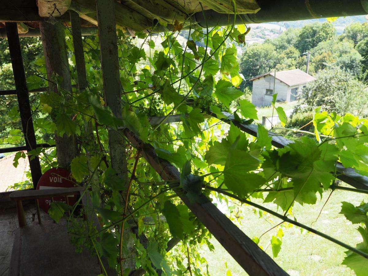 Le Chatel En Beaujolais Valsonne エクステリア 写真
